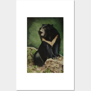 Sun Bear, Surveying........:o) Posters and Art